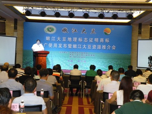 发布会 会场